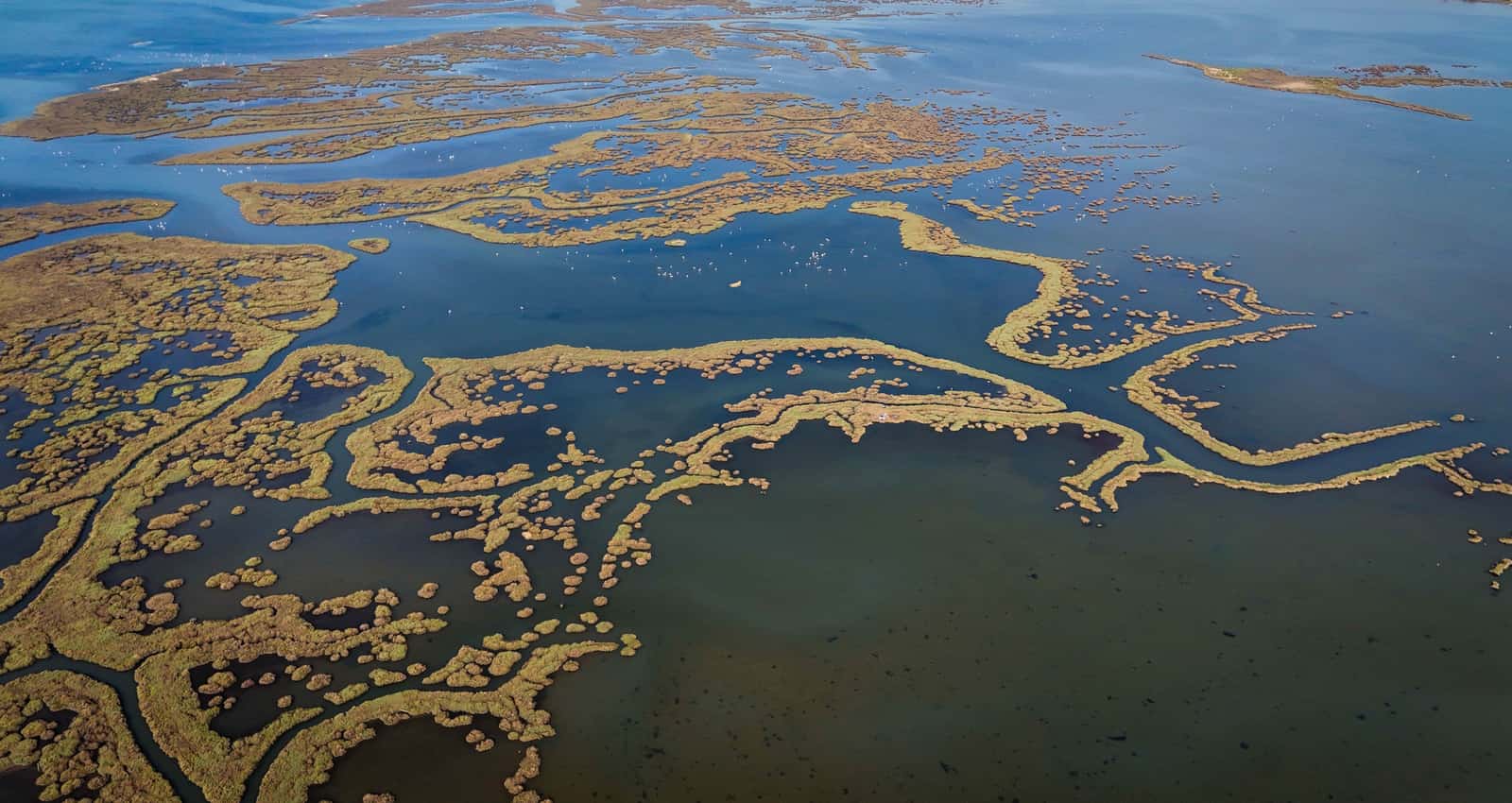 Aerial view of winding marsh channels and open wetland water