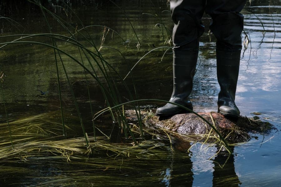 Knee-high rubber boots standing on a mossy rock in a reedy lake